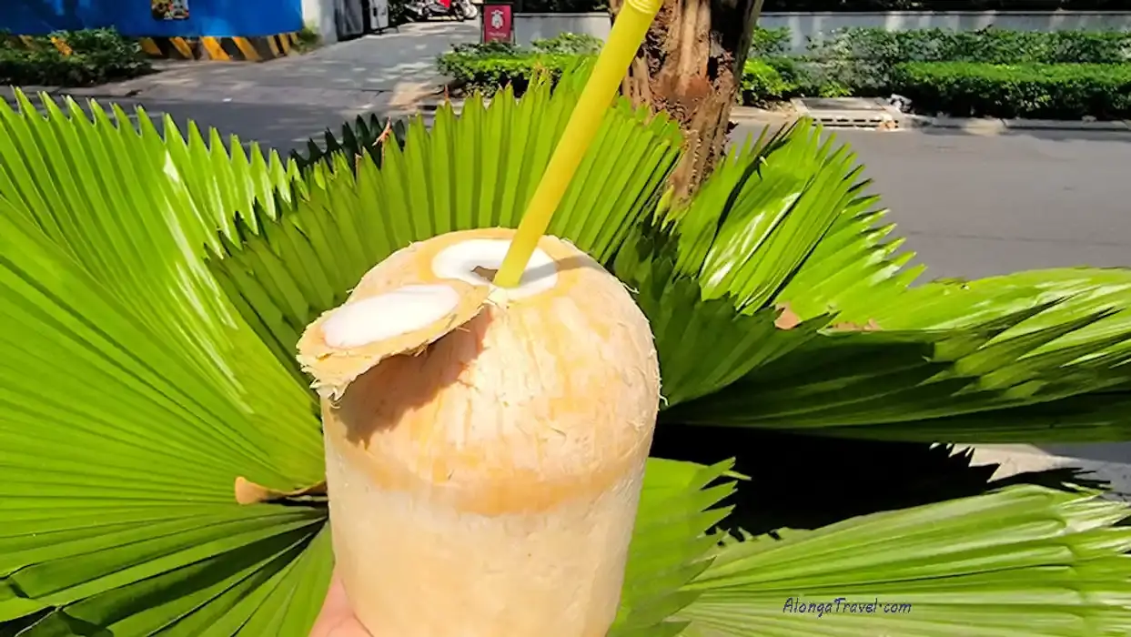 🥥 with a cut on the top & inserted straw that I arranged in front of round🌴tree leaves in 🇻🇳