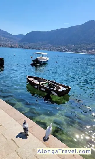 Clear water of Kotor Bay with stones at the bottom covered with seaweeds & 2 boats floating