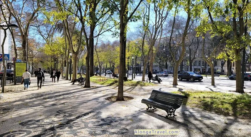 Many benches & sunshine shining through green trees of Avenida da Liberdade in Lisbon