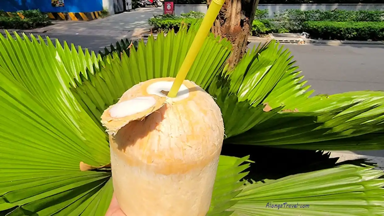🥥 with a cut on the top & inserted straw that I arranged in front of round🌴tree leaves in 🇻🇳