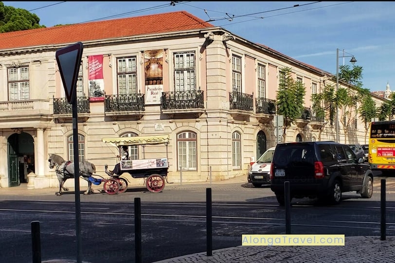 A horse in front of pink building of the old Picadeiro Real - training horses place of Belem Palace
