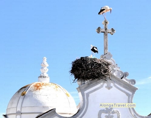 A stork nest with a family of storks on a roof of a church